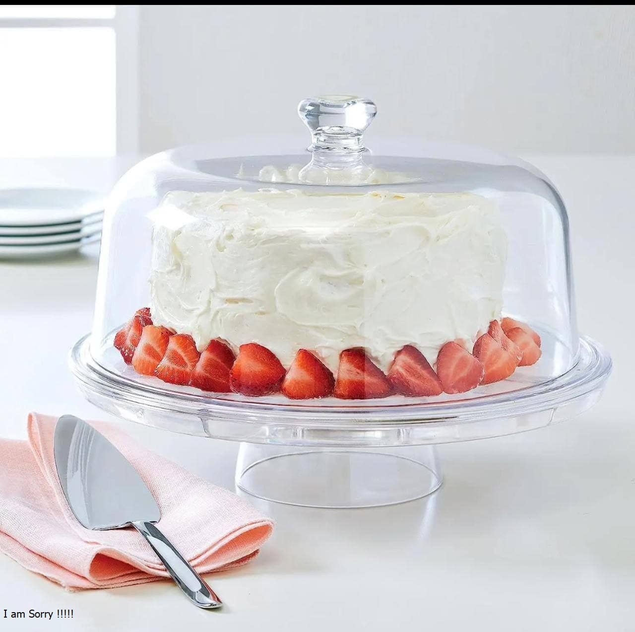 حامل وحافظة كيك أكريليك بقاعده LYTH