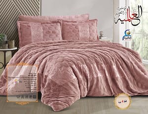 598322355_1302237978612592_5870585538570227275_n